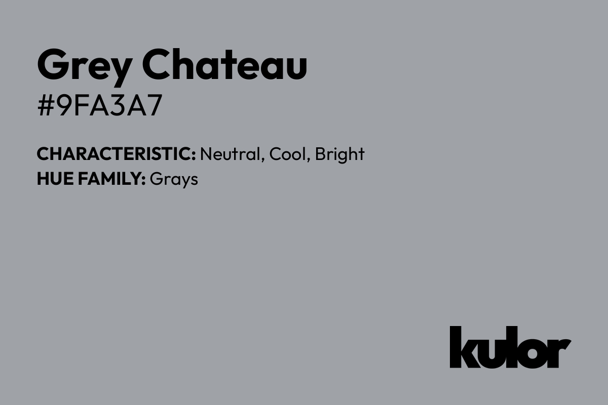 Grey Chateau is a color with a HTML hex code of #9fa3a7.