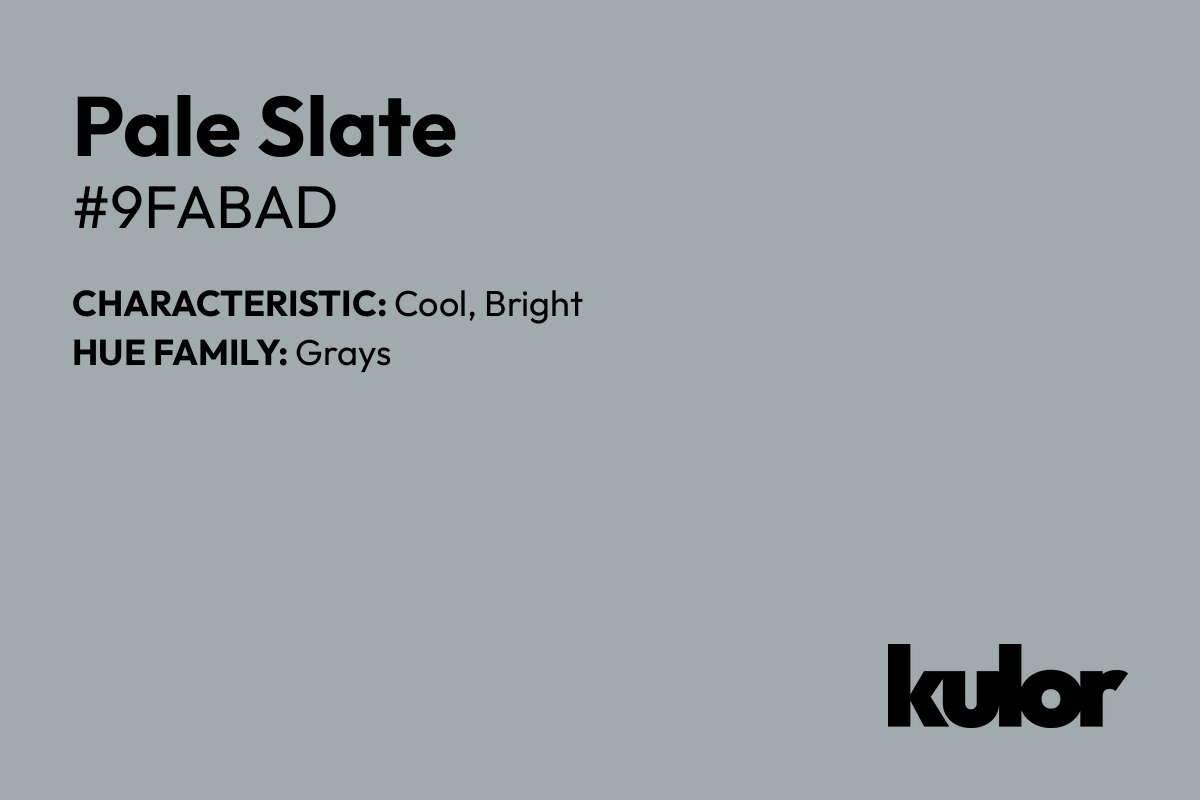 Pale Slate is a color with a HTML hex code of #9fabad.