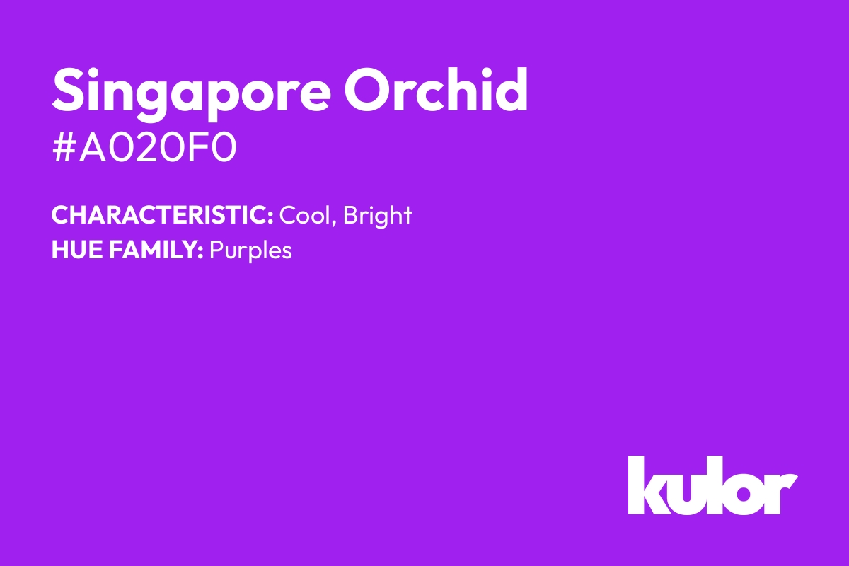 Singapore Orchid is a color with a HTML hex code of #a020f0.