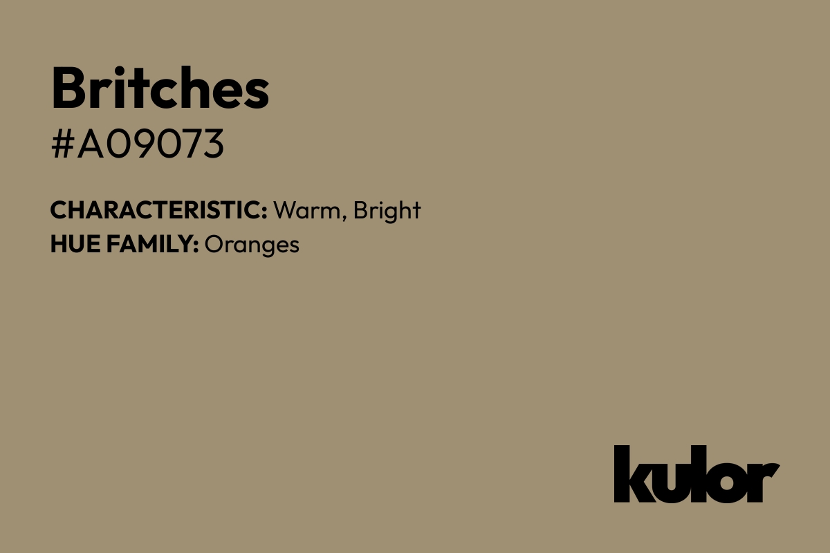 Britches is a color with a HTML hex code of #a09073.