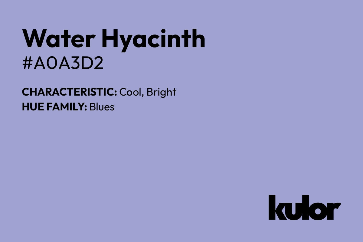 Water Hyacinth is a color with a HTML hex code of #a0a3d2.