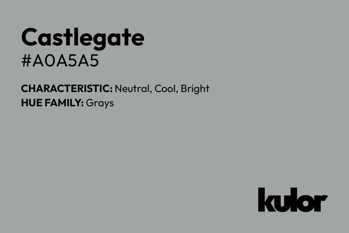 Castlegate is a color with a HTML hex code of #a0a5a5.