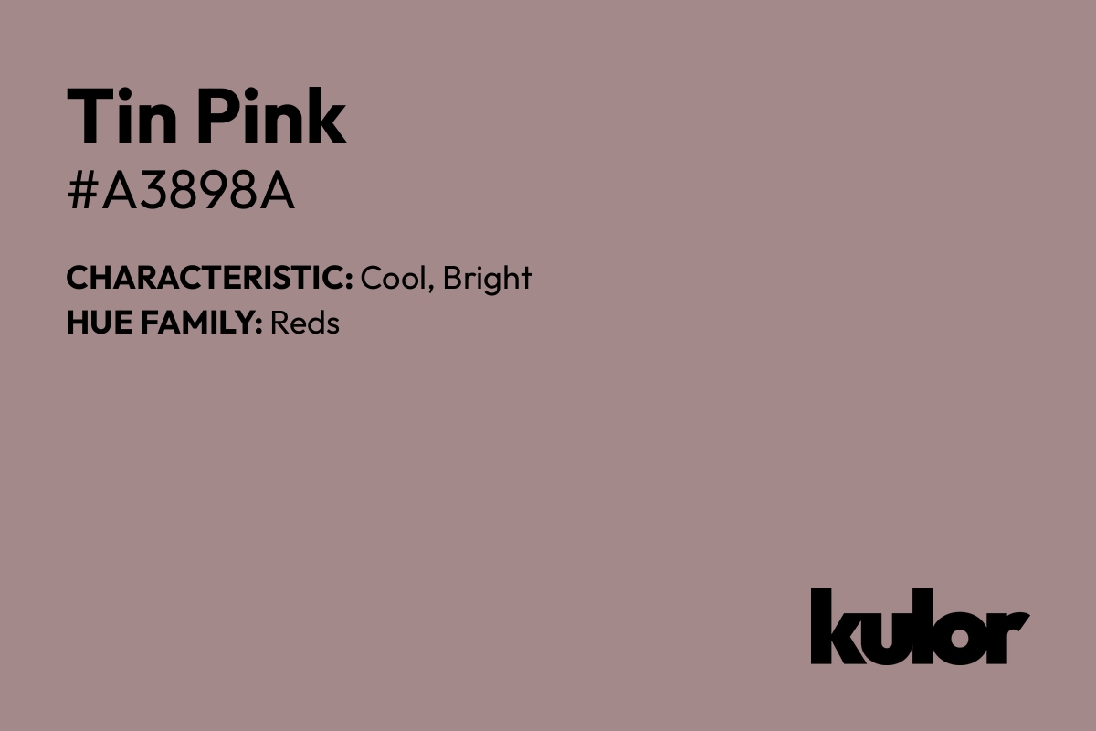 Tin Pink is a color with a HTML hex code of #a3898a.