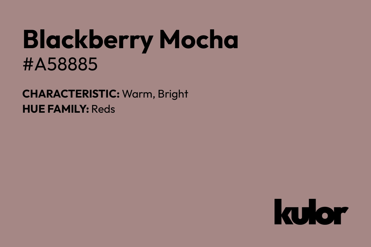 Blackberry Mocha is a color with a HTML hex code of #a58885.