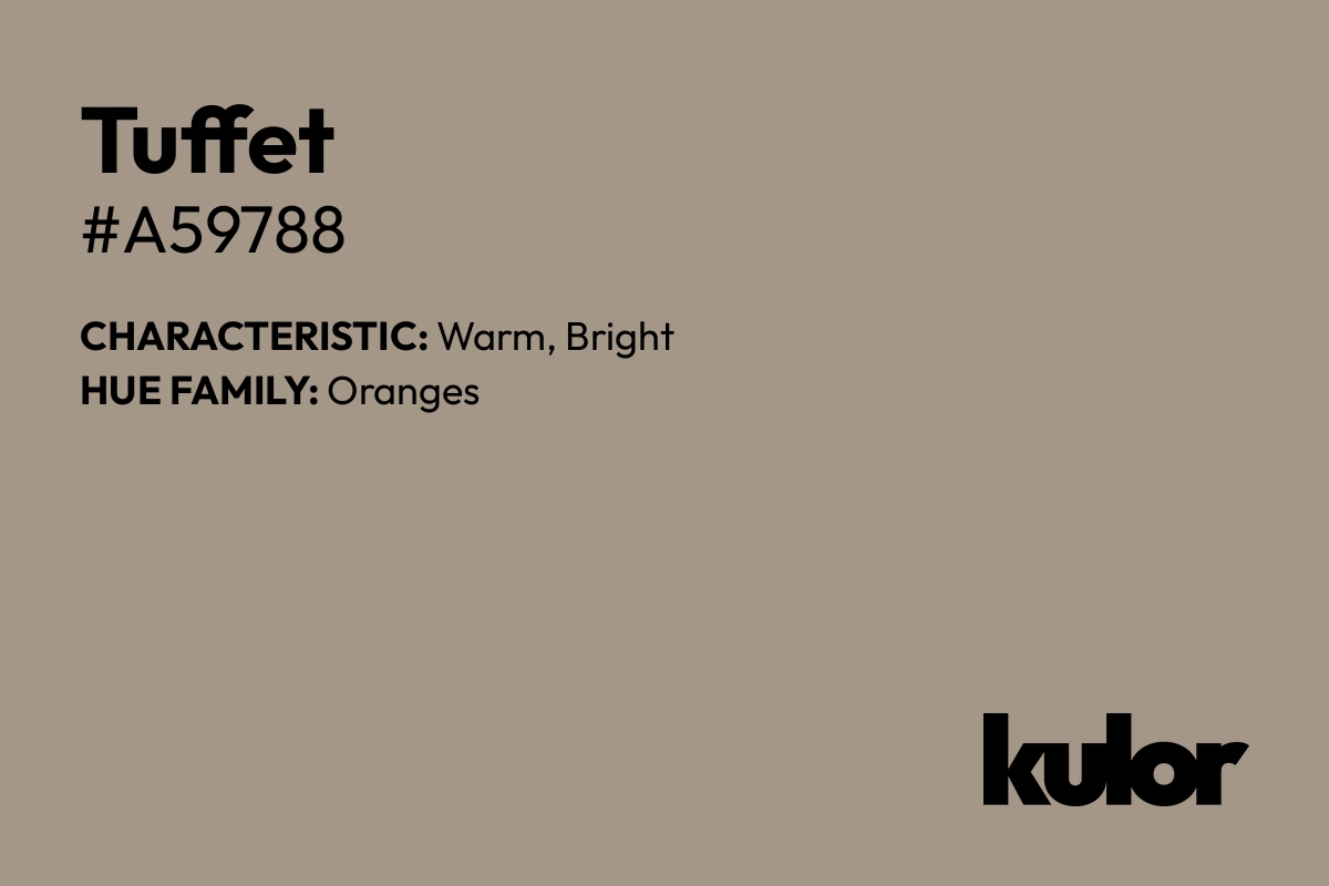 Tuffet is a color with a HTML hex code of #a59788.