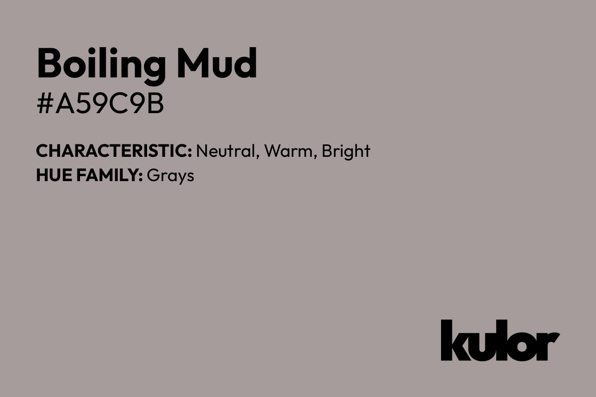 Boiling Mud is a color with a HTML hex code of #a59c9b.