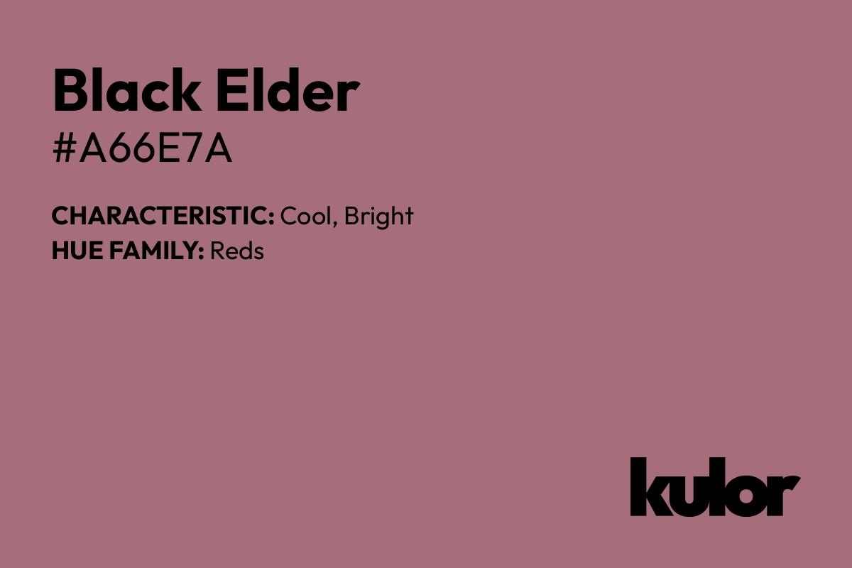 Black Elder is a color with a HTML hex code of #a66e7a.