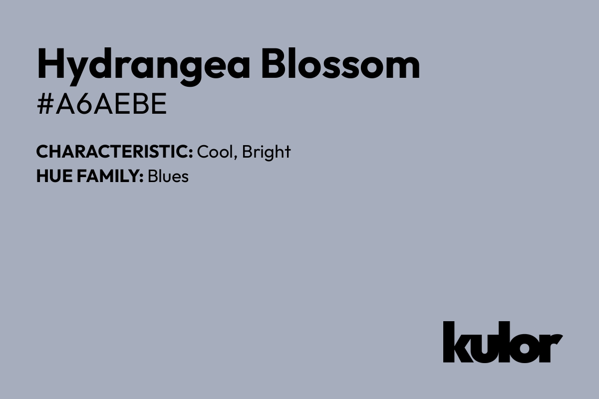 Hydrangea Blossom is a color with a HTML hex code of #a6aebe.