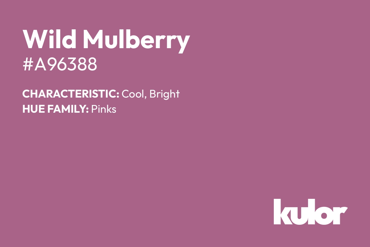 Wild Mulberry is a color with a HTML hex code of #a96388.