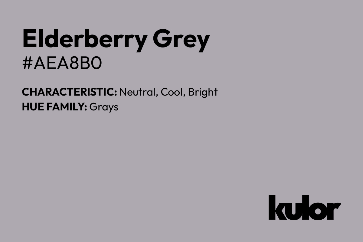 Elderberry Grey is a color with a HTML hex code of #aea8b0.