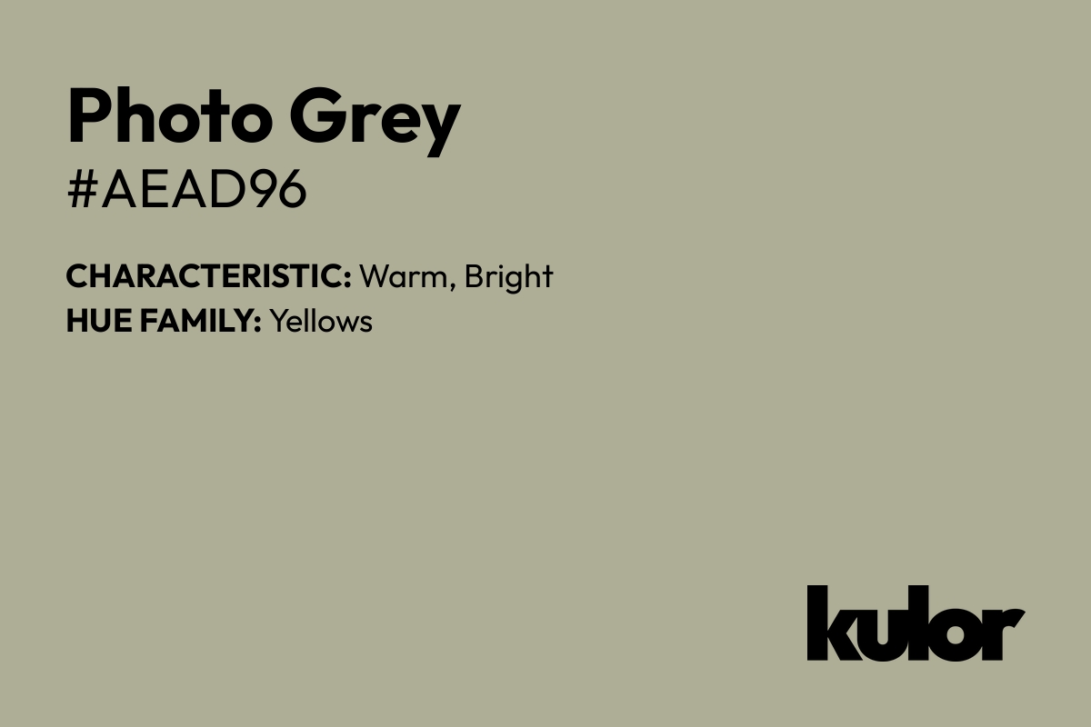 Photo Grey is a color with a HTML hex code of #aead96.