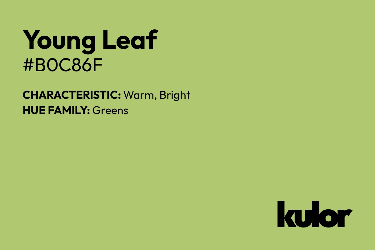 Young Leaf is a color with a HTML hex code of #b0c86f.