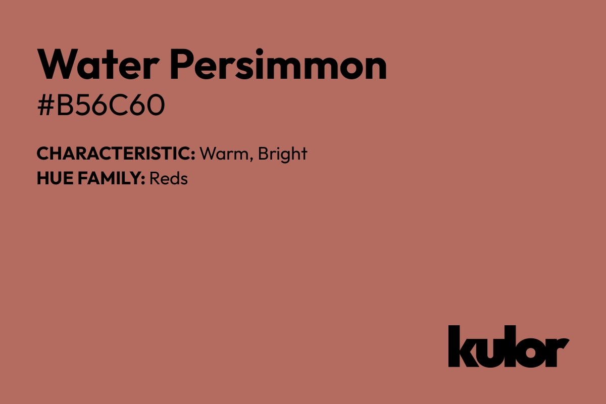 Water Persimmon is a color with a HTML hex code of #b56c60.