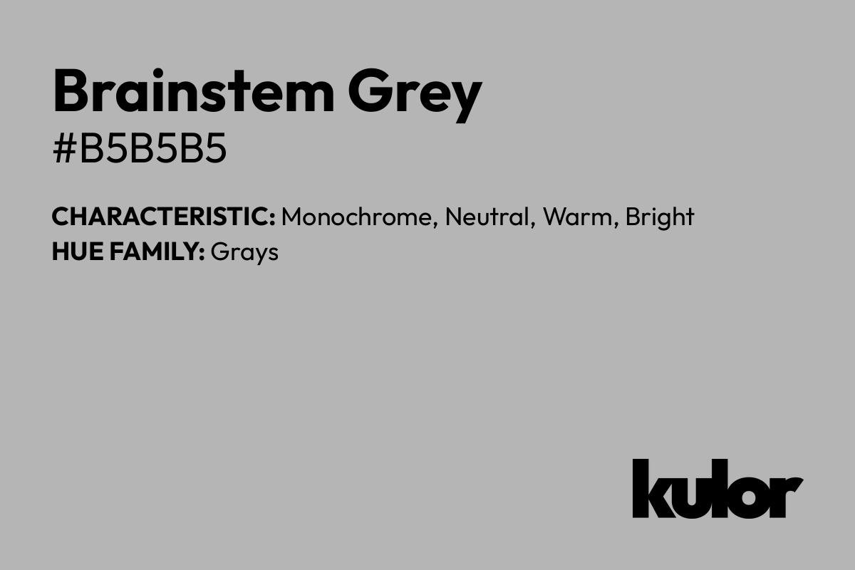 Brainstem Grey is a color with a HTML hex code of #b5b5b5.