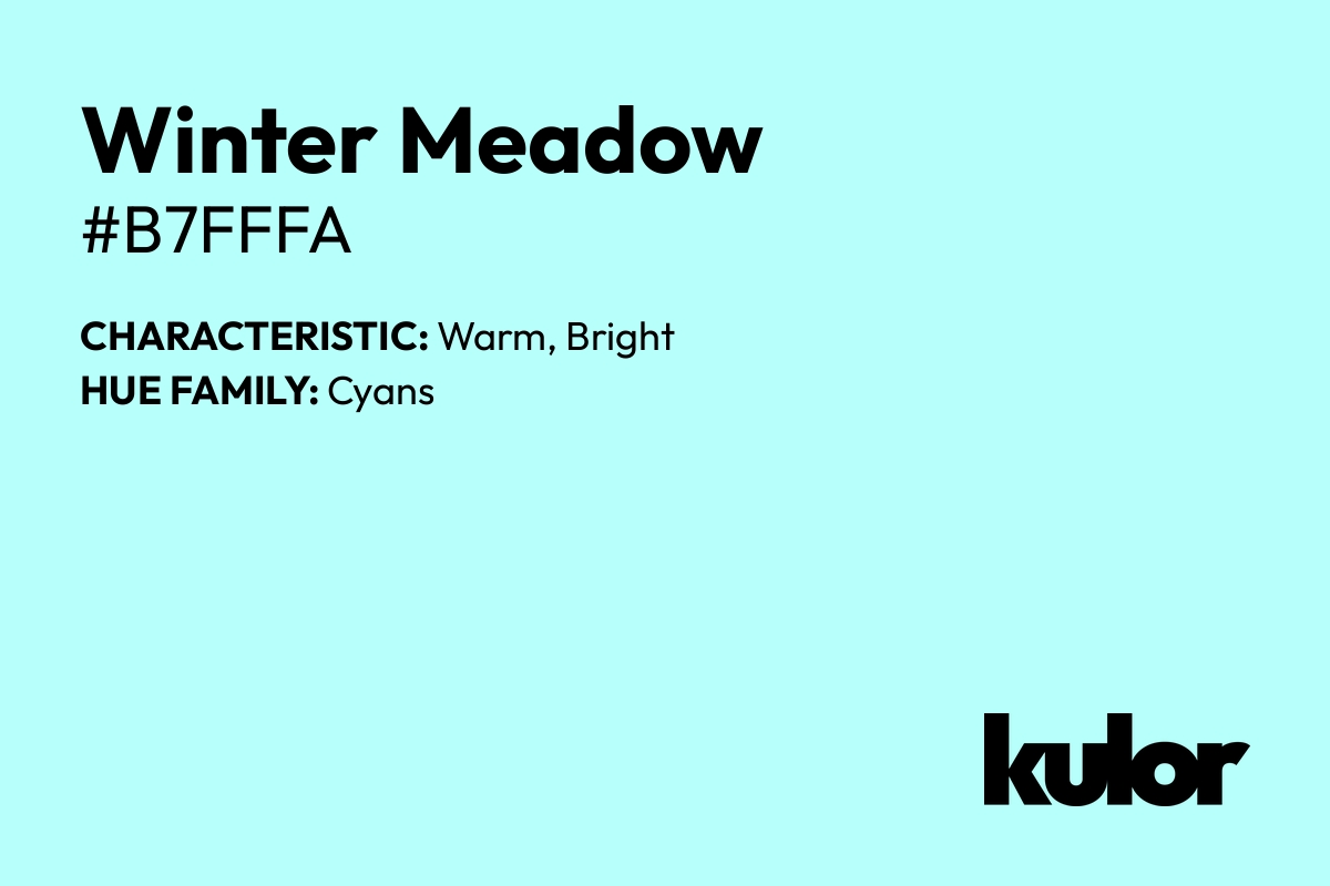 Winter Meadow is a color with a HTML hex code of #b7fffa.