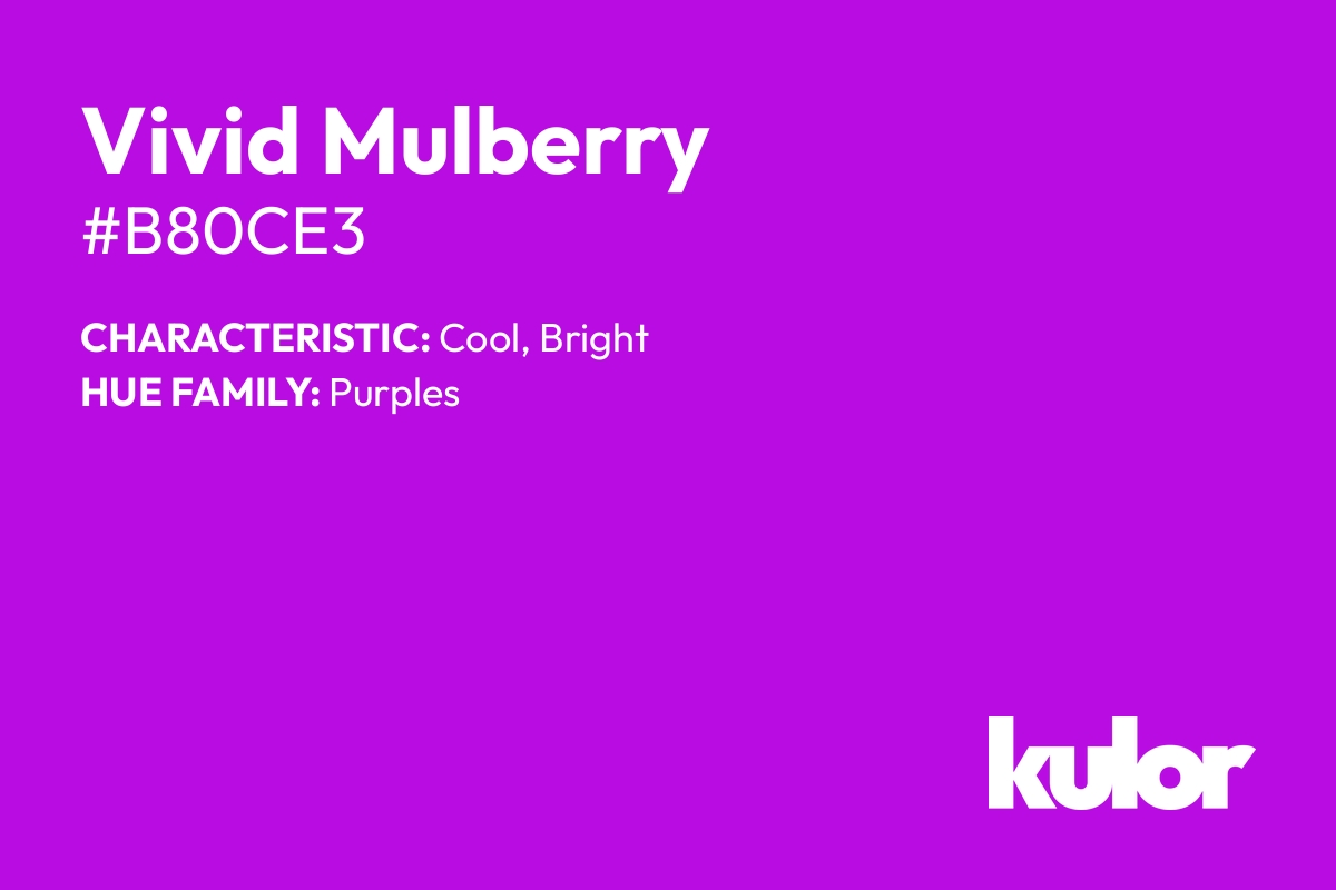 Vivid Mulberry is a color with a HTML hex code of #b80ce3.