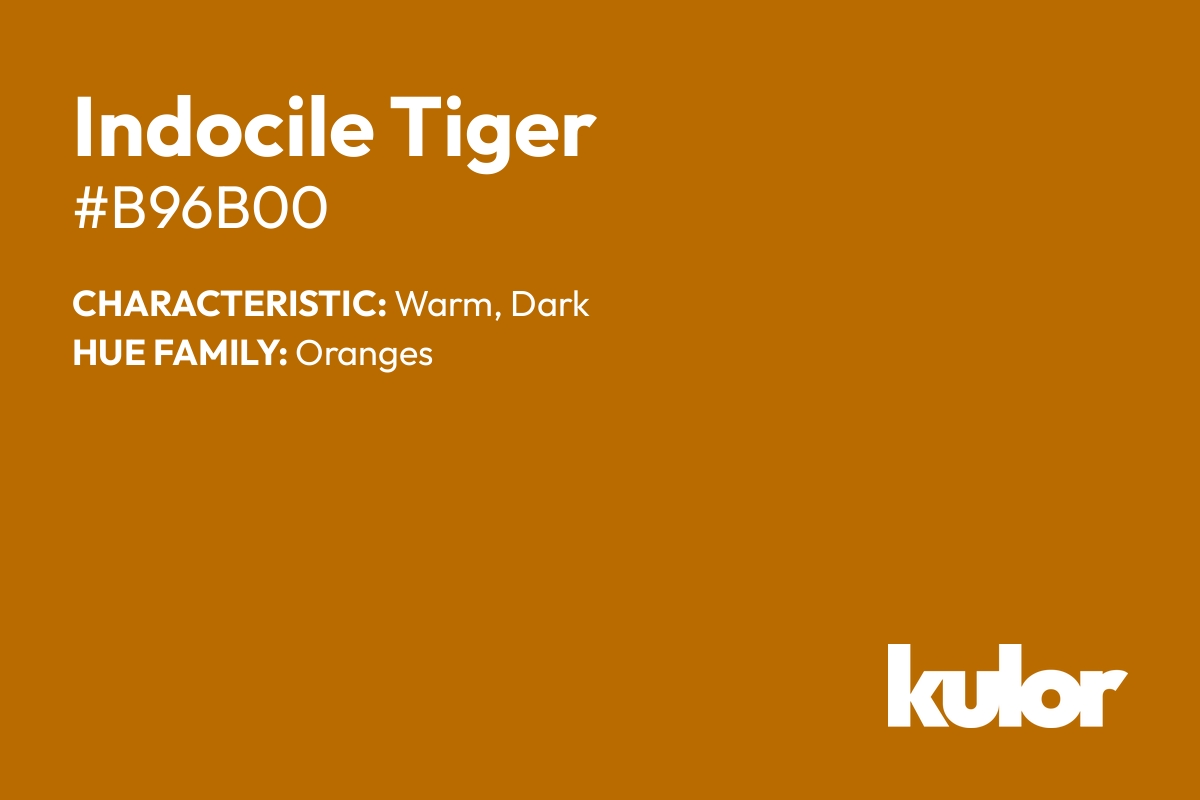 Indocile Tiger is a color with a HTML hex code of #b96b00.