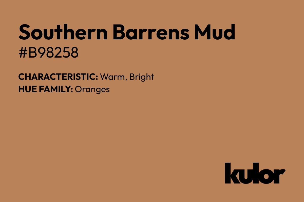 Southern Barrens Mud is a color with a HTML hex code of #b98258.