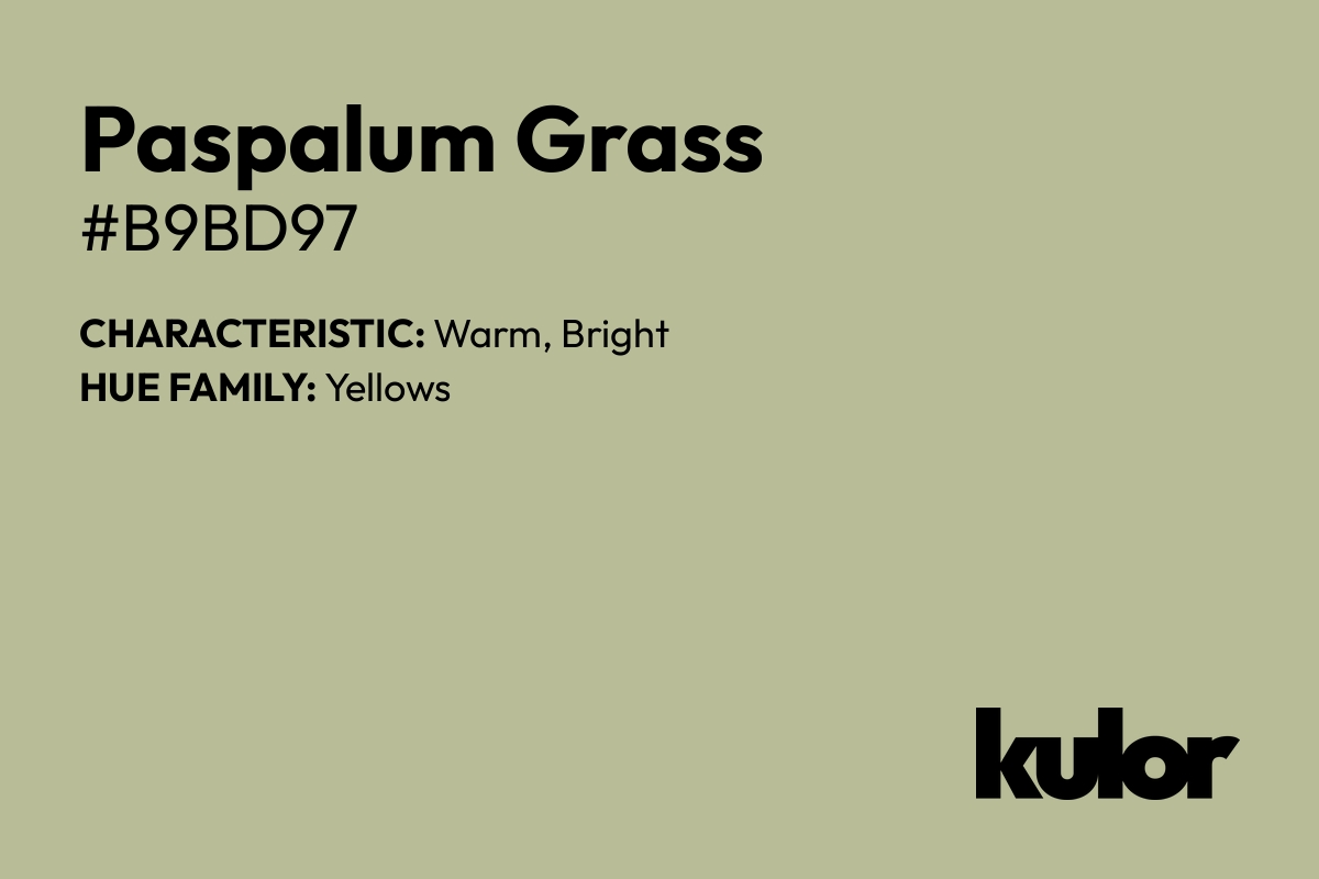 Paspalum Grass is a color with a HTML hex code of #b9bd97.