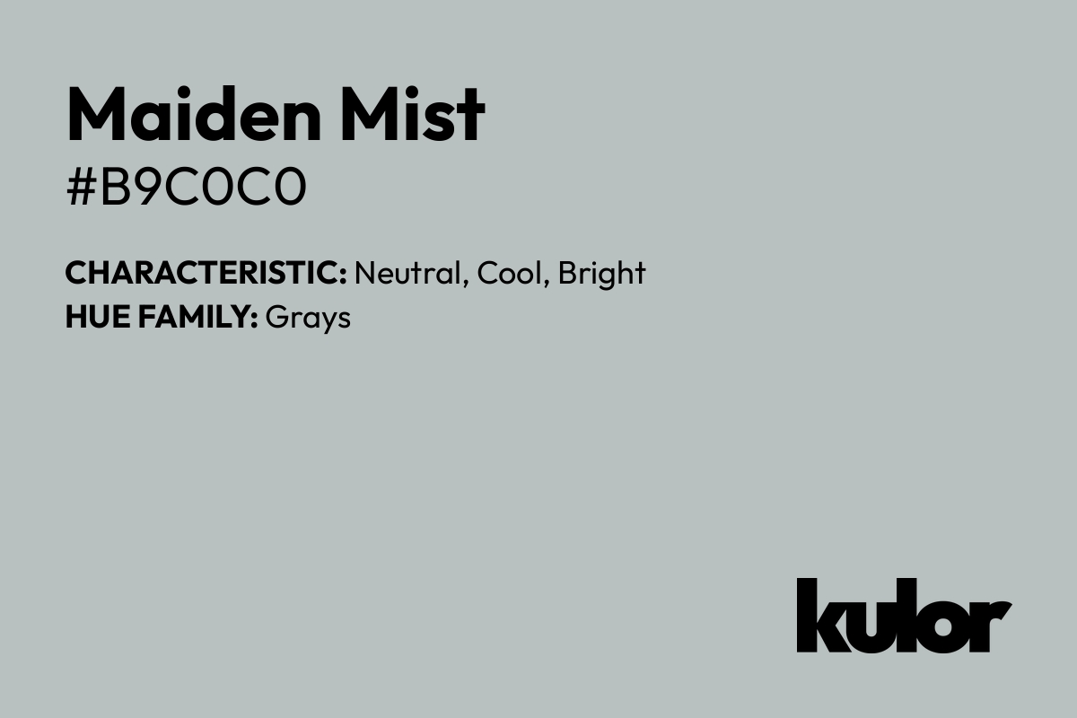 Maiden Mist is a color with a HTML hex code of #b9c0c0.