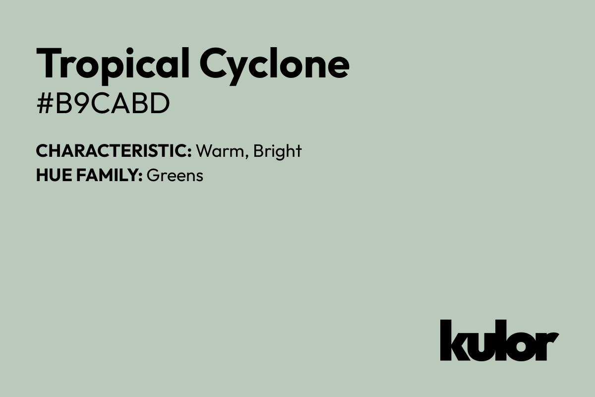 Tropical Cyclone is a color with a HTML hex code of #b9cabd.