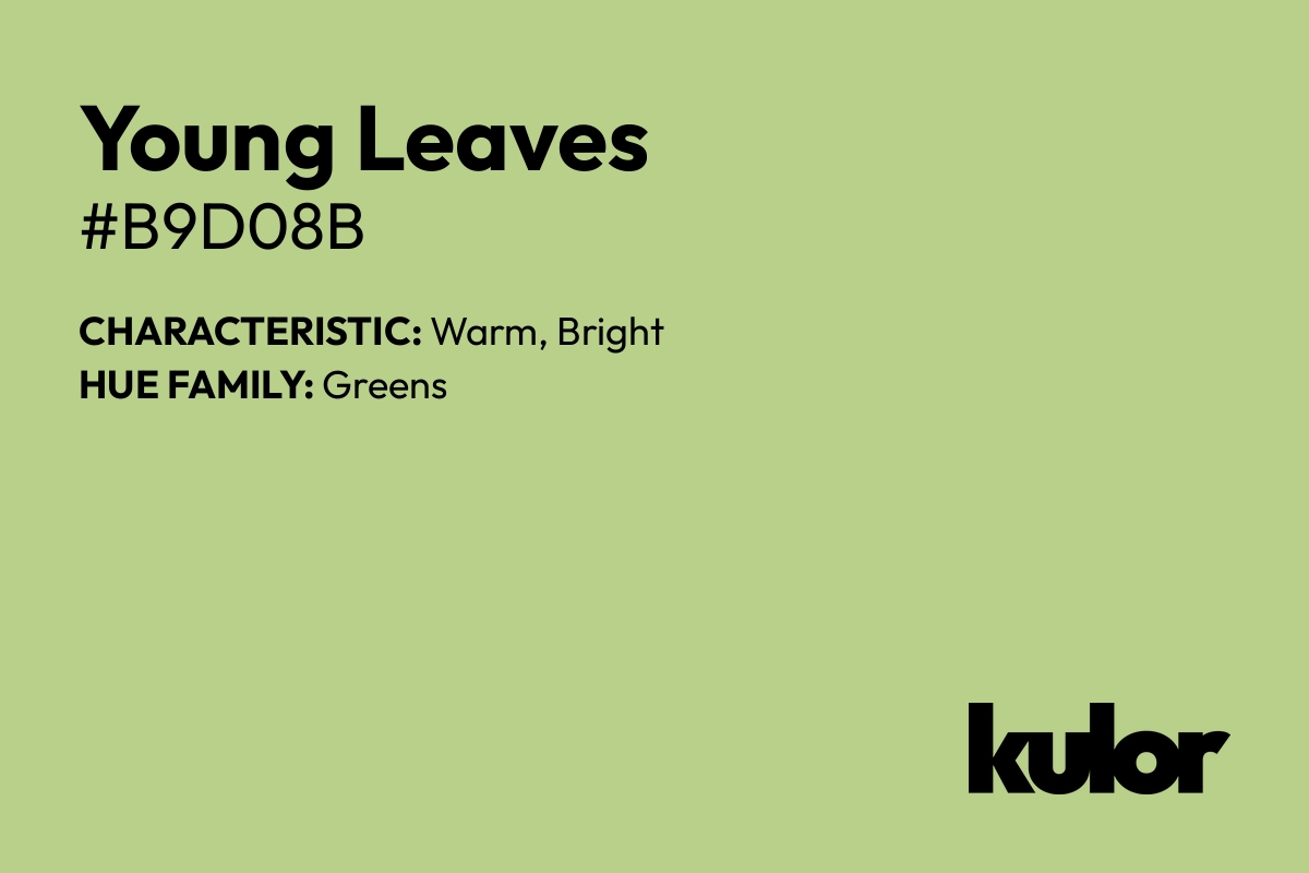 Young Leaves is a color with a HTML hex code of #b9d08b.