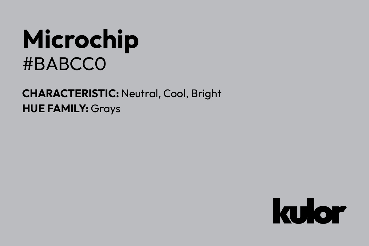 Microchip is a color with a HTML hex code of #babcc0.