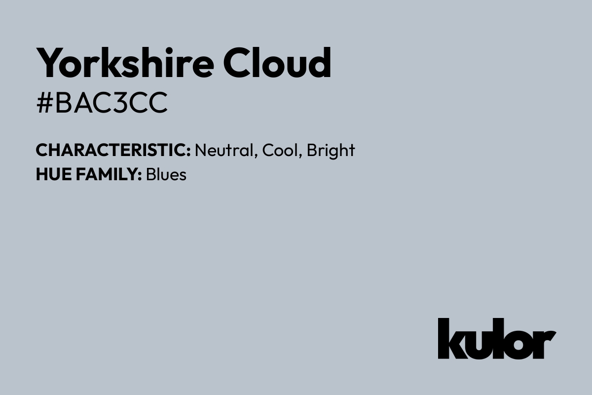 Yorkshire Cloud is a color with a HTML hex code of #bac3cc.