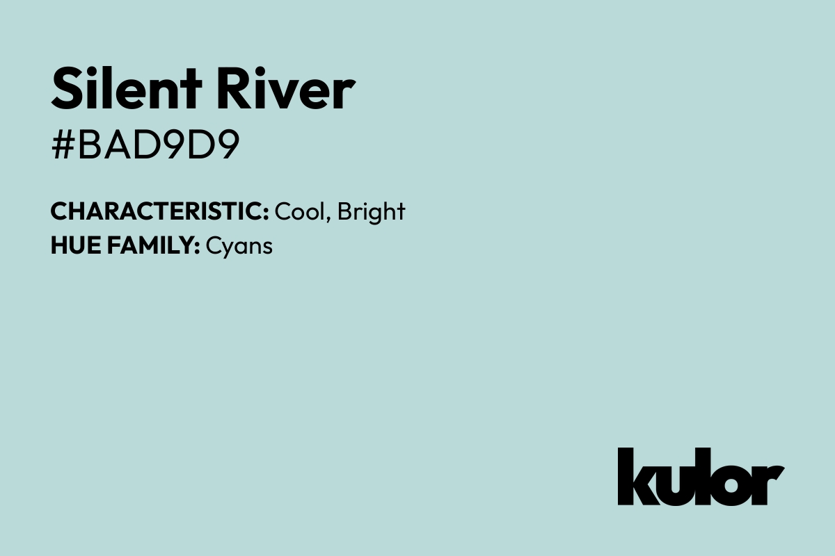 Silent River is a color with a HTML hex code of #bad9d9.