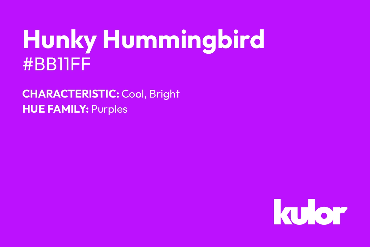 Hunky Hummingbird is a color with a HTML hex code of #bb11ff.