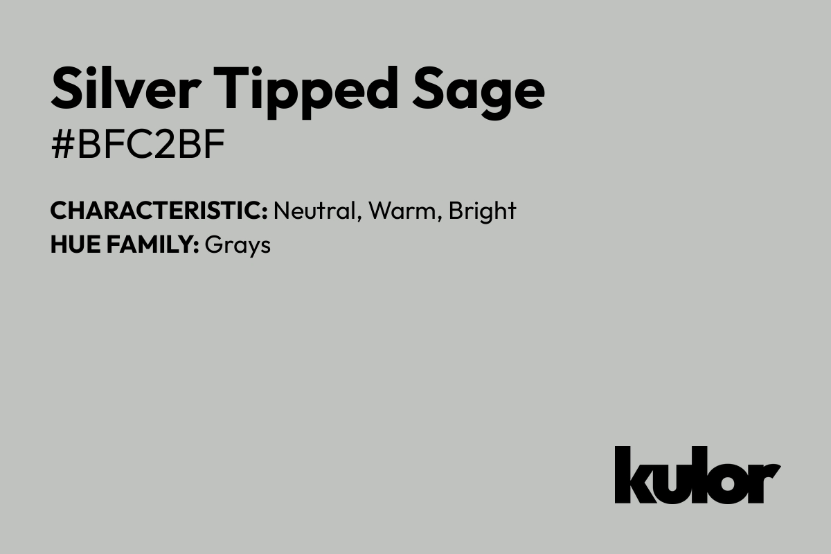 Silver Tipped Sage is a color with a HTML hex code of #bfc2bf.