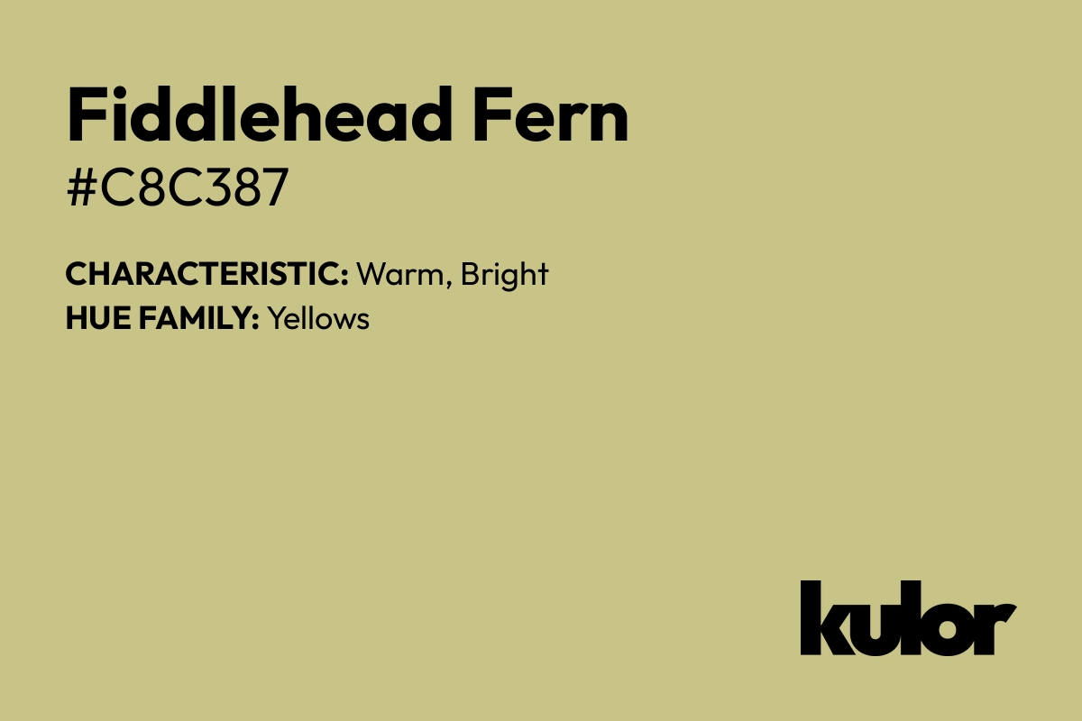 Fiddlehead Fern is a color with a HTML hex code of #c8c387.