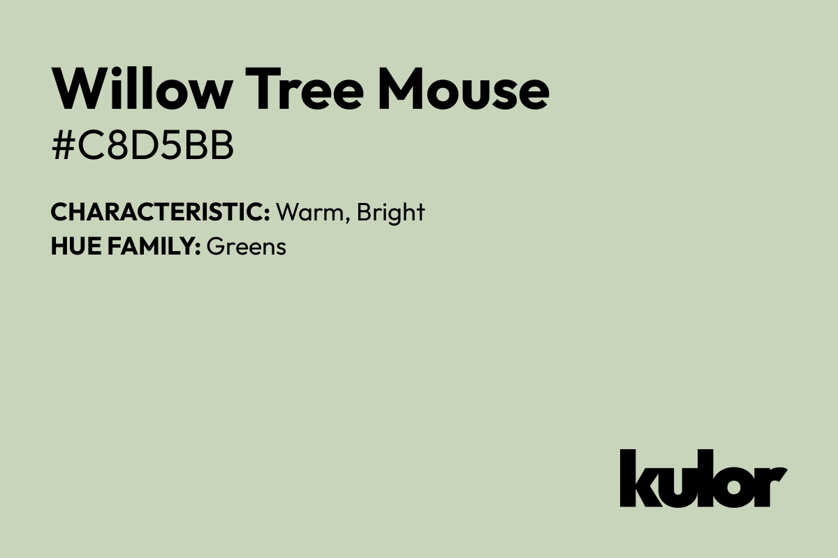 Willow Tree Mouse is a color with a HTML hex code of #c8d5bb.