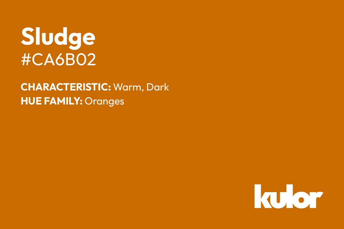 Sludge is a color with a HTML hex code of #ca6b02.