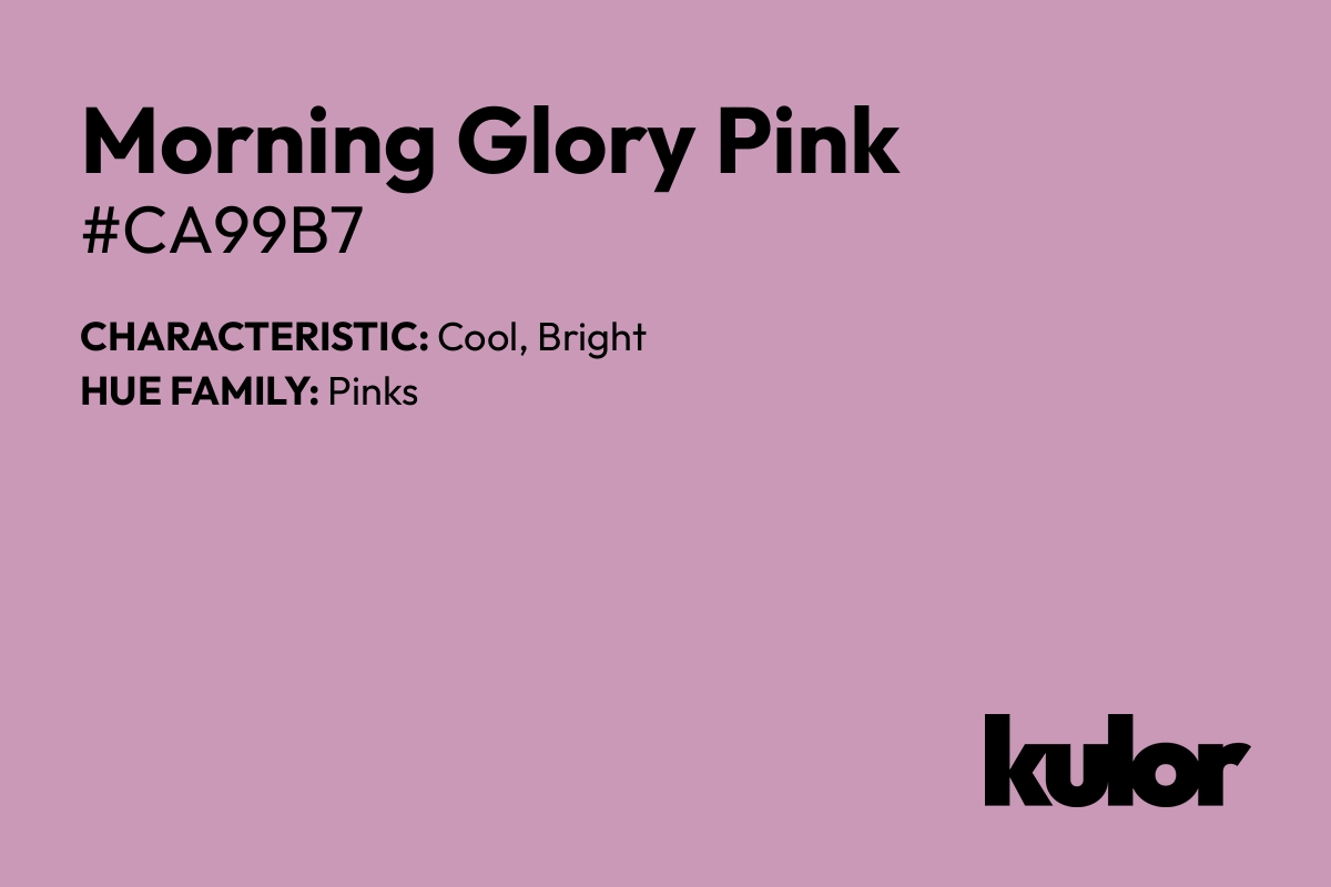 Morning Glory Pink is a color with a HTML hex code of #ca99b7.