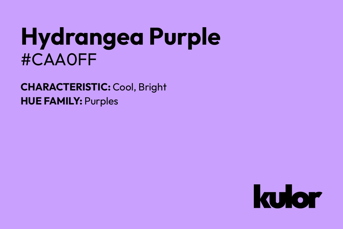 Hydrangea Purple is a color with a HTML hex code of #caa0ff.