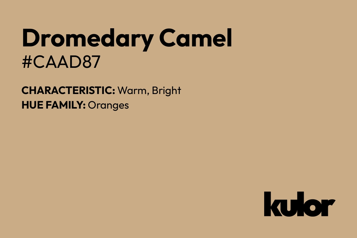 Dromedary Camel is a color with a HTML hex code of #caad87.