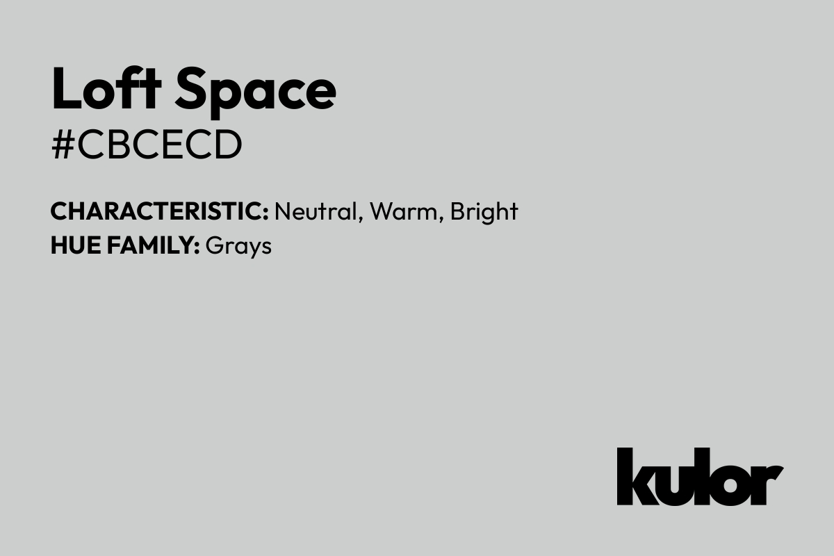 Loft Space is a color with a HTML hex code of #cbcecd.