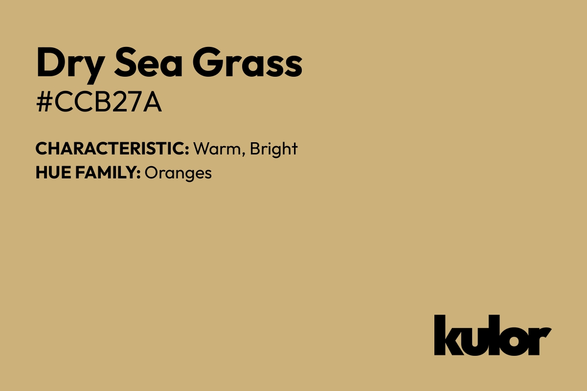 Dry Sea Grass is a color with a HTML hex code of #ccb27a.