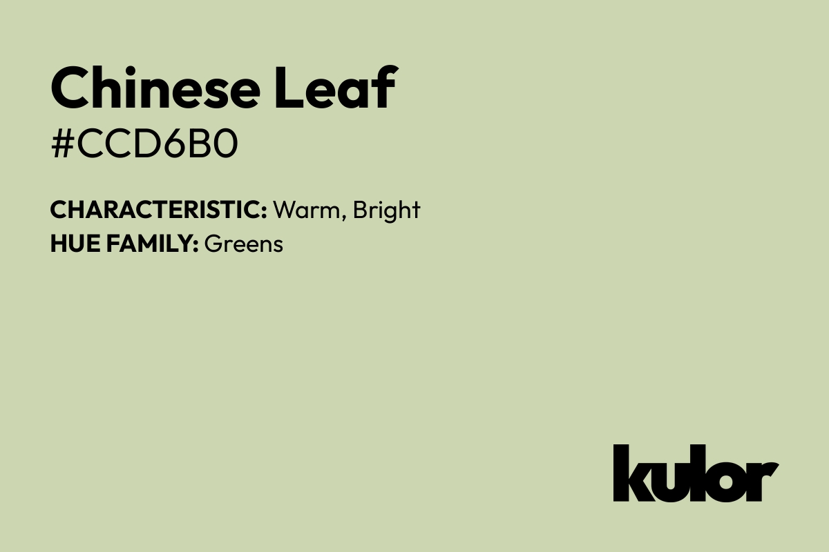 Chinese Leaf is a color with a HTML hex code of #ccd6b0.