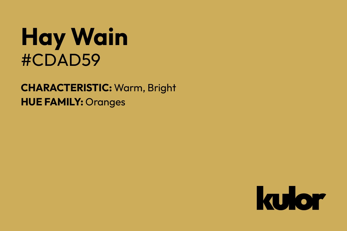 Hay Wain is a color with a HTML hex code of #cdad59.