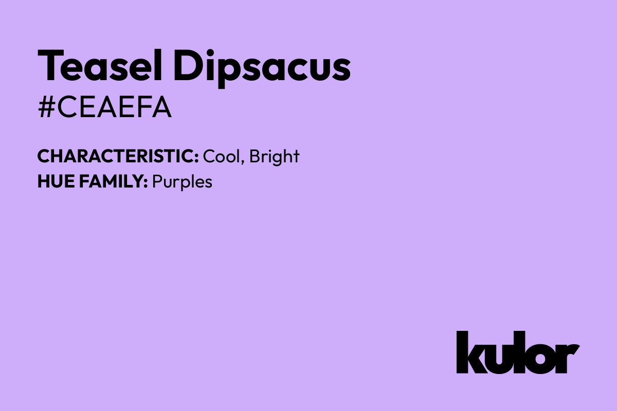 Teasel Dipsacus is a color with a HTML hex code of #ceaefa.