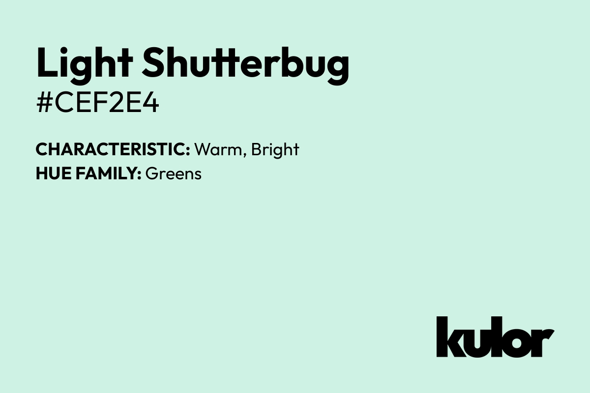 Light Shutterbug is a color with a HTML hex code of #cef2e4.