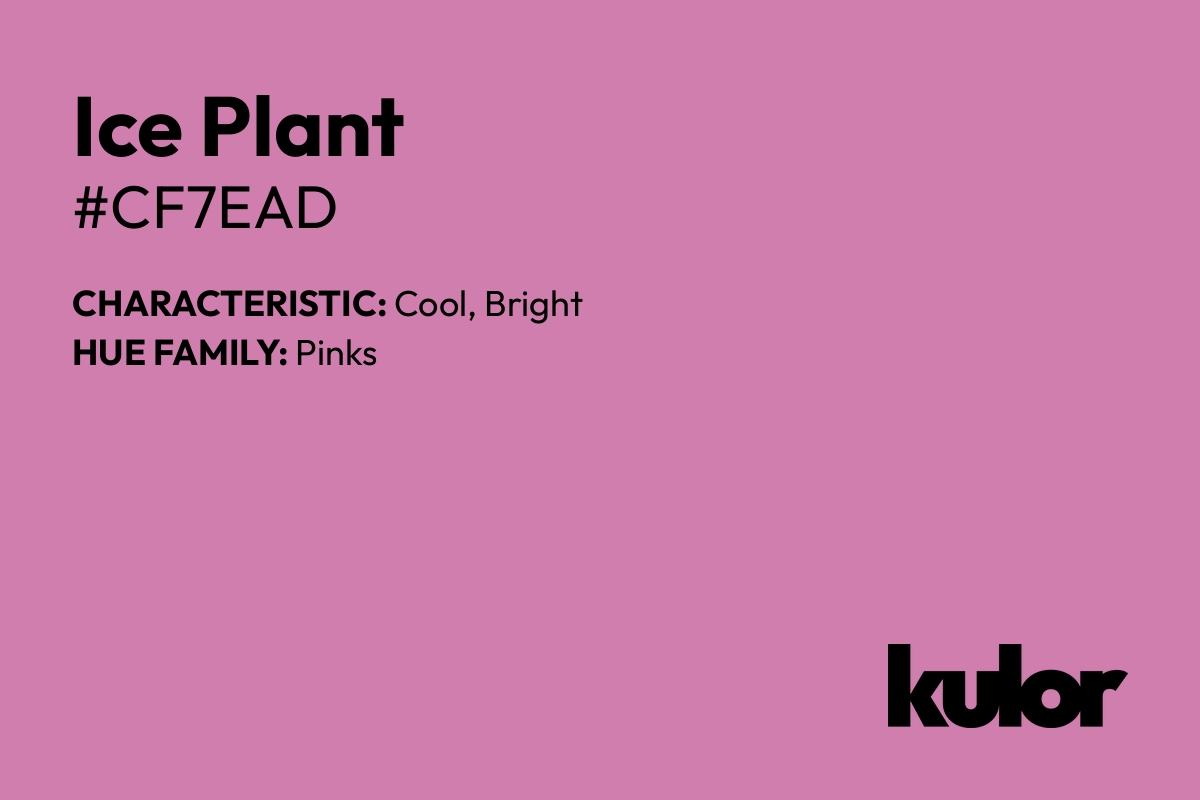 Ice Plant is a color with a HTML hex code of #cf7ead.