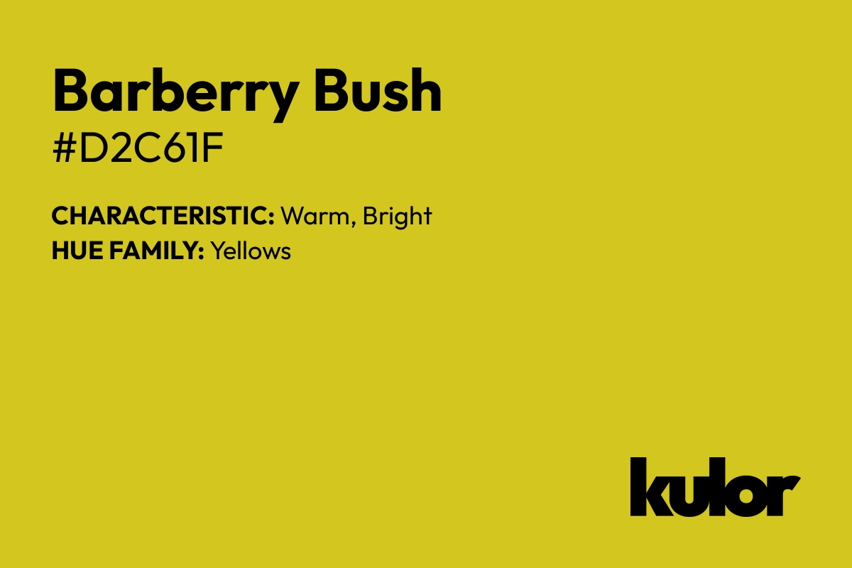 Barberry Bush is a color with a HTML hex code of #d2c61f.