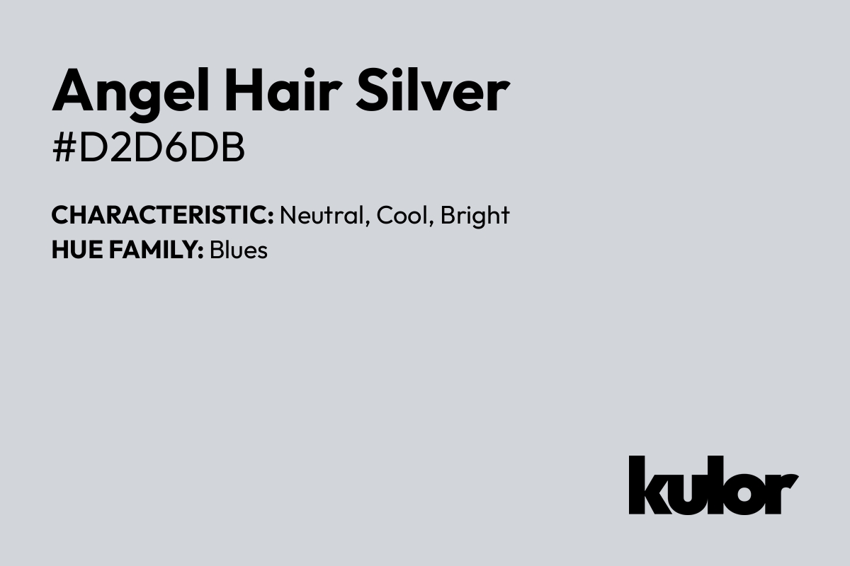Angel Hair Silver is a color with a HTML hex code of #d2d6db.