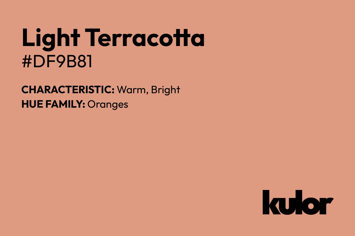 Light Terracotta is a color with a HTML hex code of #df9b81.