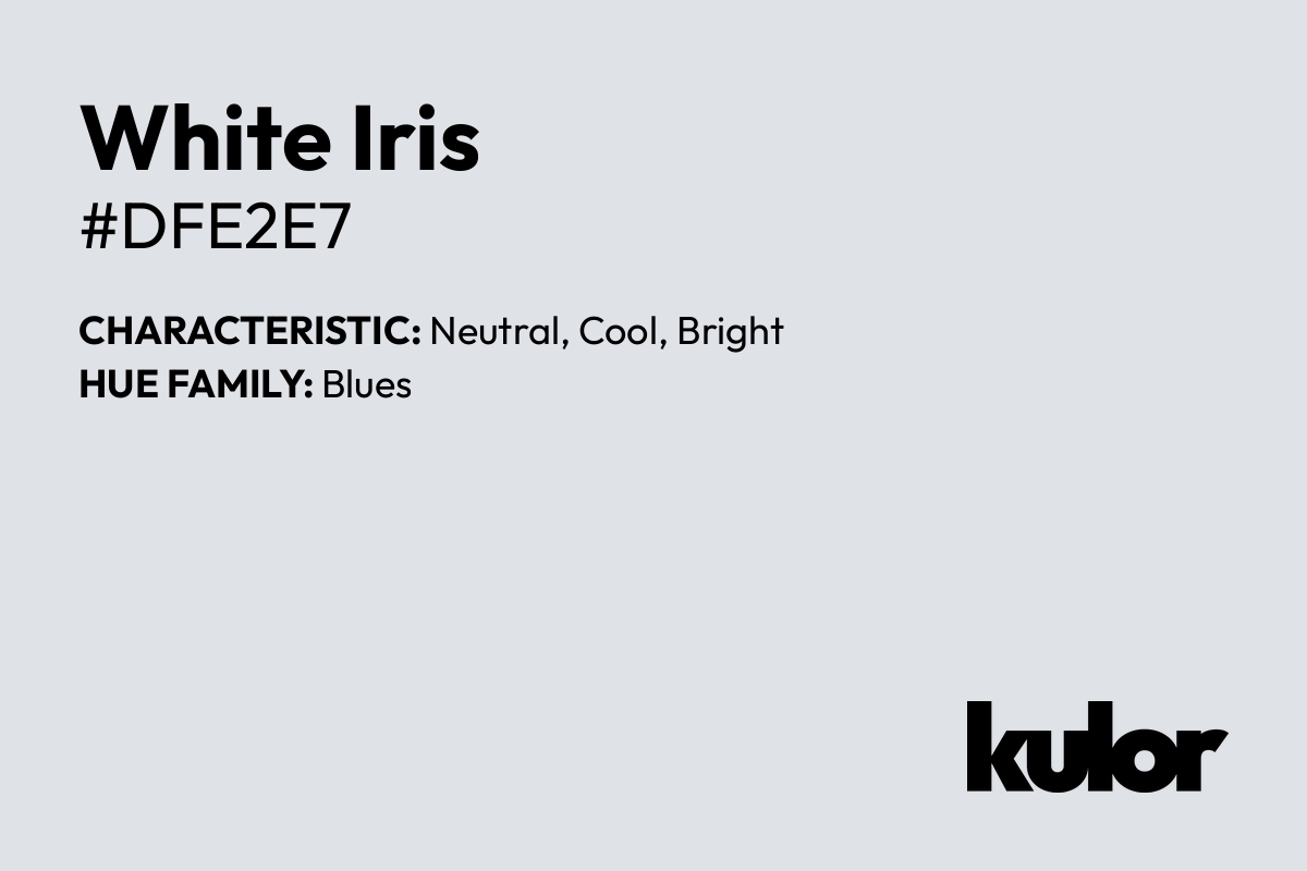 White Iris is a color with a HTML hex code of #dfe2e7.