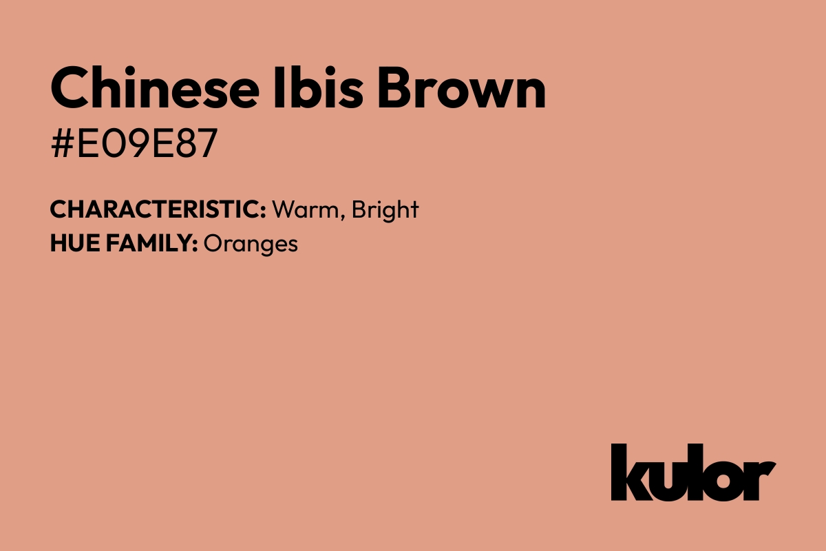 Chinese Ibis Brown is a color with a HTML hex code of #e09e87.