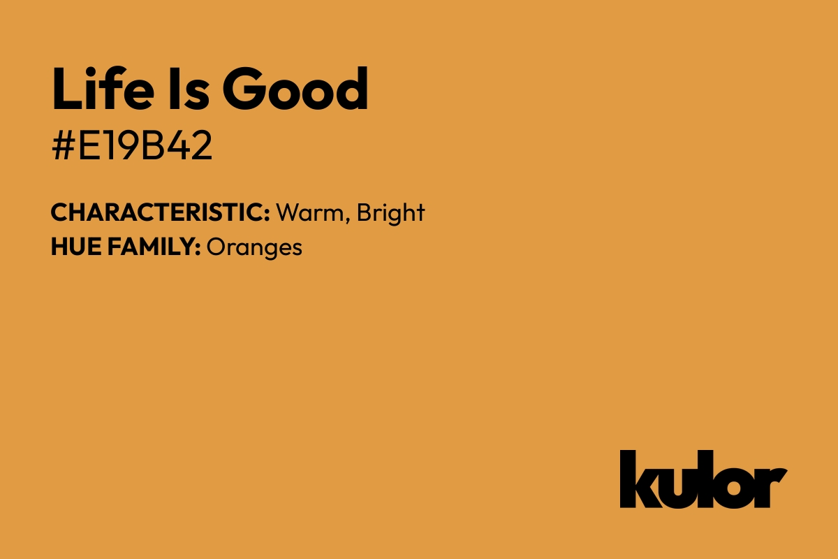 Life Is Good is a color with a HTML hex code of #e19b42.